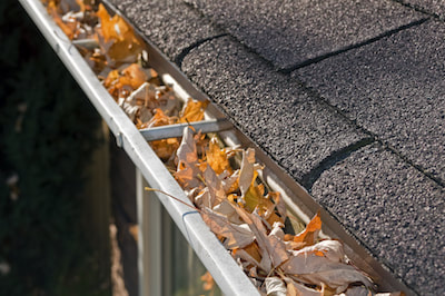 half round gutters cleanings